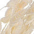 Цветок искусственный декоративный Сухоцветы, 55 см, песочный, Y6-10401 - фото 2