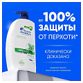 Шампунь Head &amp;amp; Shoulders, Ментол, против перхоти, 800 мл - фото 3