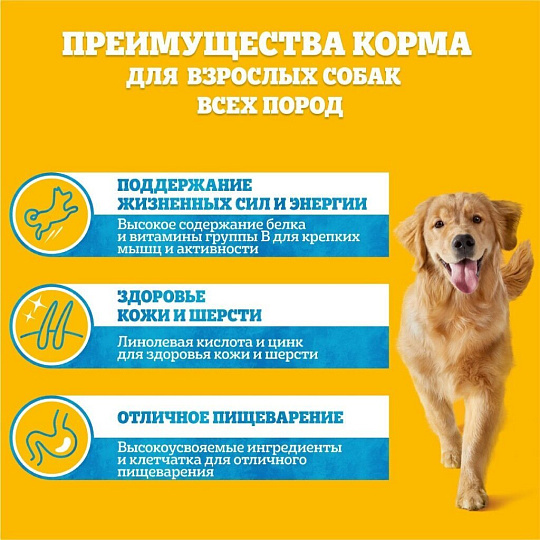 Корм для животных Pedigree, 85 г, для взрослых собак, говядина и ягненок, F5864