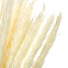Цветок искусственный декоративный Сухоцветы, 60 см, белый, Y6-10396 - фото 2