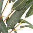 Цветок искусственный декоративный Ветвь эвкалипт, 104 см, в ассортименте, Y4-5267 - фото 3
