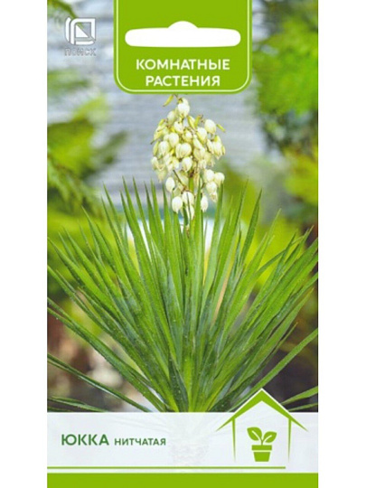 Семена Цветы, Юкка, нитчатая, цветная упаковка, Поиск