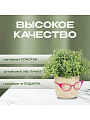 Кашпо пластик, 0.65 л, 11.5х10.5 см, со вставкой, белая глина, Idea, Мари, М 3075 - фото 10