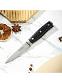 Нож кухонный Daniks, Black, для овощей, сталь, 9 см, рукоятка пластик, YW-A325-PA