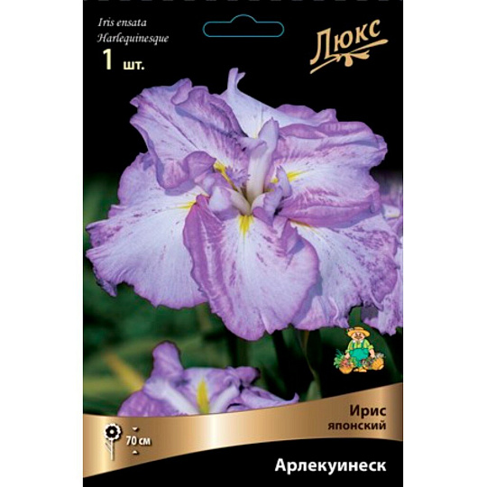 Луковицы Ирис японский, Арлекуинеск