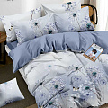 Постельное белье семейное, простыня 220х240 см, 2 наволочки 70х70 см, 2 пододеяльника 145х214 см, Адель, поплин, Поэзия