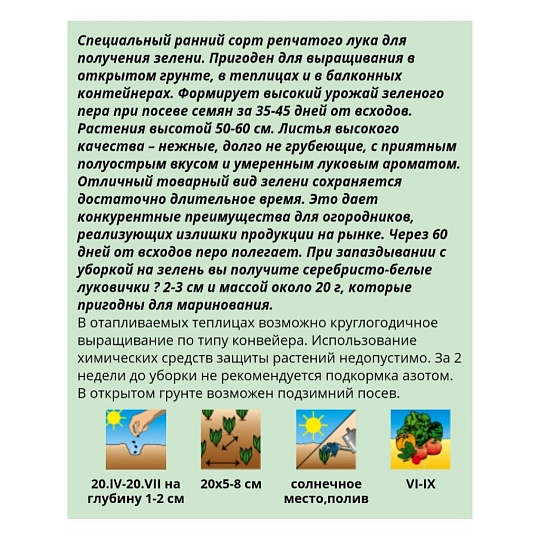 Семена Лук репчатый, Молодо-зелено, 0.5 г, цветная упаковка, Аэлита