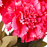 Цветок искусственный декоративный Гвоздика букет, 43 см, фуксия, Y4-7927 - фото 2