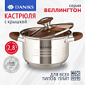 Кастрюля нержавеющая сталь, 2.8 л, с крышкой, крышка стекло, Daniks, Веллингтон, GS-01415-18CA, серебристая, индукция