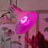 Лампа светодиодная для растений, E27, 10 Вт, 130-270 В, Б0050600, Эра, FITO-10W-RB-E27 - фото 6