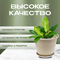 Кашпо пластик, 5 л, 25х19.5 см, латте, Idea, Рябина, М3056 - фото 6