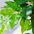 Дерево искусственное декоративное в кашпо, 195 см, Y4-3396 - фото 2
