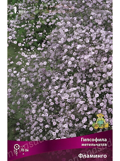 Луковицы Гипсофила метельчатая, Фламинго, 743333