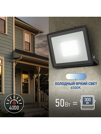 Прожектор светодиодный, Эра, LPR-023-0-65K-050, 50 Вт, 6500 К, IP65, 4000 Лм, уличный, Б0052024
