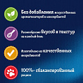 Корм для животных Феликс, 75 г, для взрослых кошек, кусочки в желе, ягненок, пауч, 12512756 - фото 3