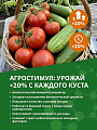 Набор для баковой смеси Комбисет Овощи, от вредителей и болезней на овощах, 3в1 шт, Агрусхим - фото 5