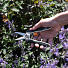 Ножницы для растений, 8 мм, прямые, Plantic, рукоятка soft-touch, 35306-01 - фото 5
