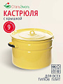 Кастрюля эмалированная сталь, 9 л, крышка сталь, СтальЭмаль, 2с200, в ассортименте, индукция