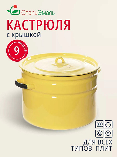 Кастрюля эмалированная сталь, 9 л, крышка сталь, СтальЭмаль, 2с200, в ассортименте, индукция