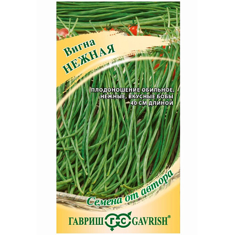 Семена Вигна, Нежная Н21, 10 шт, Семена от автора, авторские, цветная упаковка, Гавриш