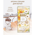 Аромасаше Breesal, Наслаждение, аромат для белья, SAC025.01