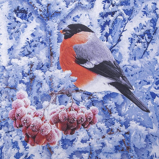 Постельное белье 2-спальное, простыня 200х215 см, 2 наволочки 70х70 см, пододеяльник 175х215 см, АртПостель, бязь, Снегири