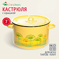 Кастрюля эмалированная сталь, 7 л, крышка сталь, СтальЭмаль, 1с18с, в ассортименте, индукция