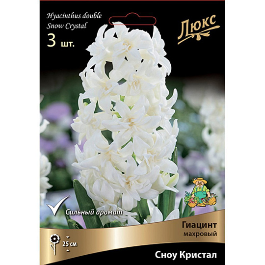 Луковицы Гиацинт махровый, Сноу Кристал, 15-16/К, 3 шт