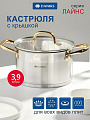 Кастрюля нержавеющая сталь, 3.9 л, крышка стекло, круглая, Daniks, Лайнс, SD-072-20, индукция