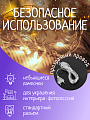 Гирлянда 140 ламп, 6.5 м, 1 режим, холодный белый свет, прозрачная, в помещении, сетевая, LED, SY20L-05 - фото 2