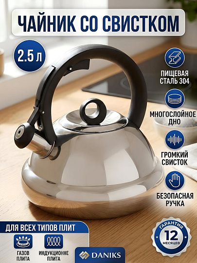 Чайник нержавеющая сталь, 2.5 л, со свистком, матовый, сталь 304, Daniks, индукция