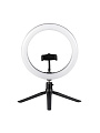 Светильник светодиодный с кольцевым плафоном и держателем смартфона на треноге, 10 Вт, с USB, черный, абажур белый, Camelion