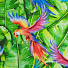 Полотенце «Этель» Попугай, 35×65 см на петельке, репс, пл. 130 г/м2, 100% хлопок, 4126986 - фото 3
