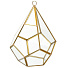 Флорариум 20х12 см, стекло, золотой, Y6-10450 - фото 3