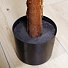 Дерево искусственное декоративное Пальма, в кашпо, 130 см, Y4-3404 - фото 4