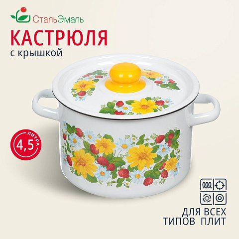 Кастрюля эмалированная сталь, 4.5 л, с крышкой, крышка сталь, СтальЭмаль, 1с17с, в ассортименте, индукция