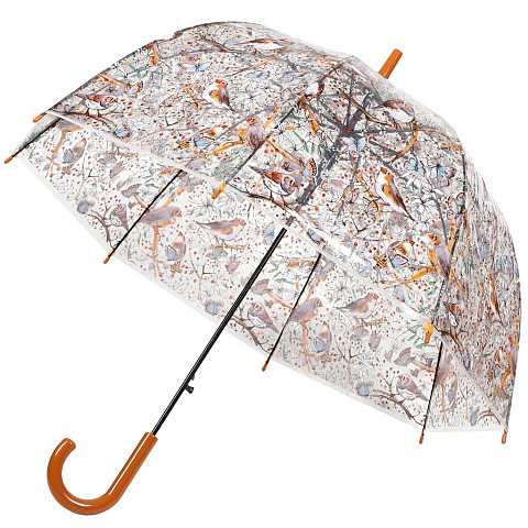 Зонт для женщин, полуавтомат, трость, 60 см, Птицы, прозрачный, прозрачный, PU0602