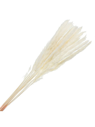 Цветок искусственный декоративный Сухоцветы, 60 см, белый, Y6-10396