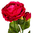 Цветок искусственный Пион, 60 см, фуксия, Y4-6934 - фото 2