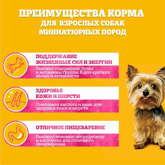 Корм для животных Pedigree, 80 г, для собак миниатюрных пород, паштет, говядина, F5882