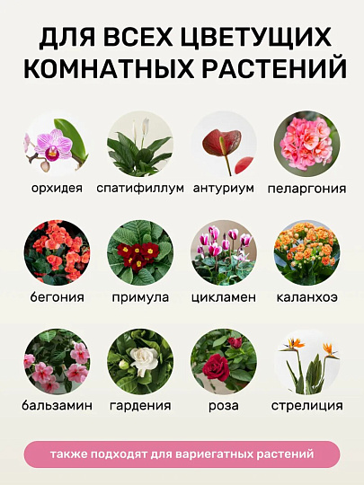 Удобрение Биомолекулы, для комнатных и балконных цветов, 400 мл, Удобряй!