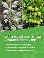 Фунгицид Профи, от болезней на ягодных кустарниках и землянике, 5 мл, Агрусхим - фото 7