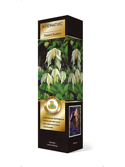 Саженцы Клематис ботанические, Лемон Бьюти, 751322