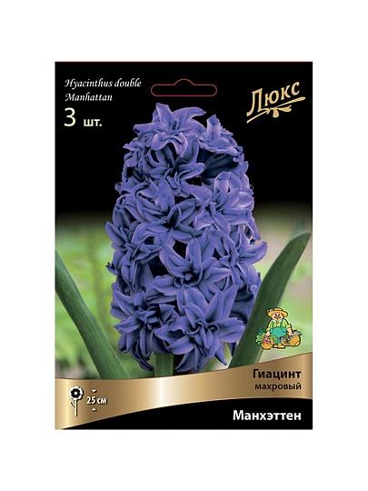 Луковицы Гиацинт махровый, Манхэттен, 15-16/К, 3 шт