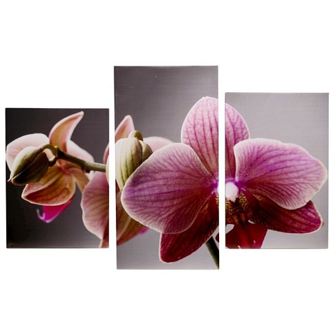 Картина модульная, 99х65 см, 3 модуля, Орхидеи, D-012H