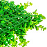 Декоративная панель Трава Eucalyptus Grass, 40х60х8 см, Y4-4003 - фото 3
