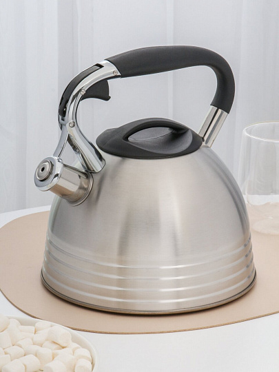 Чайник нержавеющая сталь, 2.7 л, со свистком, матовый, сталь 304, ручка с силиконовым покрытием, Daniks, индукция, PR-2201