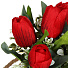 Цветок искусственный декоративный Тюльпаны, в кашпо, 27х7.5 см, красный, Y4-7159 - фото 3