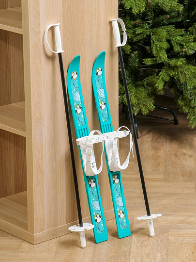 Лыжи для детей, 66 см, с палками, 75 см, универсальное крепление, в сетке, Олимпик-спорт Пингвины, 325210-00