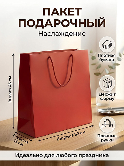 Пакет подарочный бумага, 32х12х45 см, в ассортименте, Наслаждение, Y4-13474